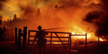 A firefighter extinguishes flames as the Oak Fire crosses Darrah Rd. in Mariposa County, Calif., on Friday, July 22, 2022. Crews were able to to stop it from reaching an adjacent home. (AP Photo/Noah Berger)
