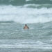 Fotografía de archivo de un surfista en las playas de Miami Beach. EFE/Giorgio Viera